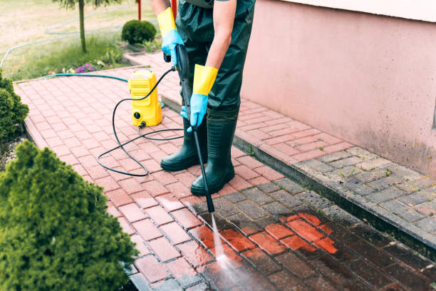 Best Local Pressure Washing Services  in Elk Mound, WI