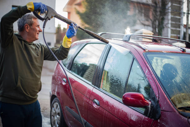 Best Roof Pressure Washing  in Elk Mound, WI